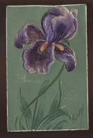 FLEURS - IRIS - VELOURS - Sonstige & Ohne Zuordnung