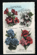 LANGAGE DES FLEURS - Other & Unclassified