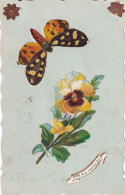 PAPILLON - Schmetterlinge