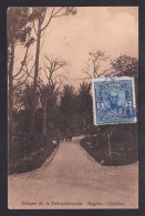 Colombia - 1912 PPC Bosque De La Independencia Bogota Posted To UK - Kolumbien