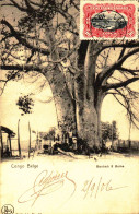 CPA    Congo Belge Baobab Boma  A 153 - Belgian Congo