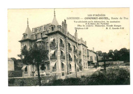 65 . LOURDES . CONFORT HOTEL . ROUTE DE PAU - Lourdes