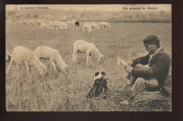 AGRICULTURE - RAPHAEL TUCK - SERIE 429 - LES PAYSANS DE FRANCE - LE BERGER STUDIEUX - Cultivation