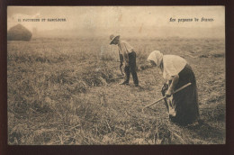 AGRICULTURE - RAPHAEL TUCK - SERIE 429 - LES PAYSANS DE FRANCE - FAUCHEUR ET SARCLEUSE - Cultures