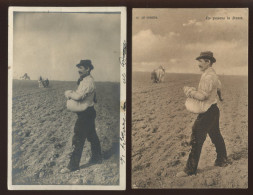 AGRICULTURE - RAPHAEL TUCK - SERIE 429 - LES PAYSANS DE FRANCE - LE SEMEUR - MEME SCENE EN  CARTE PHOTO ORIGINALE - Cultures