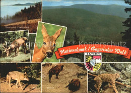 71588844 Grafenau Niederbayern Nationalpark Bayrischer Wald Grafenau - Sonstige & Ohne Zuordnung