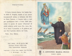 Santino S.antonio Maria Pucci - Devotion Images