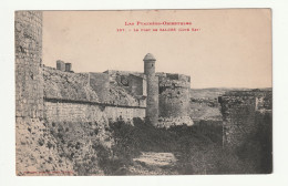 CPA 66 . Le Fort De Salses . Côté Est  - Salses
