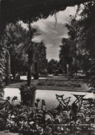 51661 - Österreich - Bad Schallerbach - Kurpark - Ca. 1965 - Bad Schallerbach