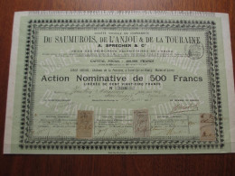 FRANCE - 49 - MAINE ET LOIRE - ST CYR EN BOURG 1903 - STE VINICOLE DU SAUMUROIS, ANJOU, TOURAINE - ACTION 500 FRS - Autres & Non Classés