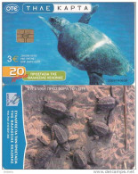 GREECE - Turtle, 05/03, Used - Schildkröten