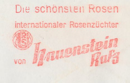 Meter Cover Switzerland 1972 Flower - Rose  - Other & Unclassified