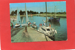 17---ILE DE RE---ARS En RE---Le Port---voir 2 Scans - Ile De Ré