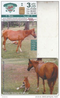 JORDAN - Horse, Nature Around Amman(glossy Surface), 07/00, Sample(no CN) - Chevaux