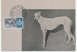 Maximum Card San Marino 1958 Dog - Greyhound - Autres & Non Classés