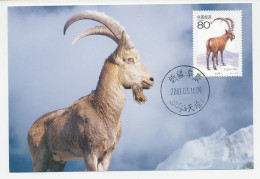 Maximum Card China 2001 Alpine Ibex  - Sonstige & Ohne Zuordnung