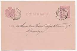 Kleinrondstempel Nieuw Buinen 1894 - Zonder Classificatie