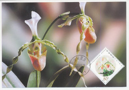 Maximum Card China 2001 Orchid - Sonstige & Ohne Zuordnung
