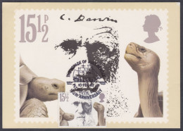 GB Great Britain 1982 Max Card Charles Darwin, Naturalist, Ship, Tree, Scientist, Biologist, Fossil, Turtle Maximum Card - Briefe U. Dokumente