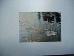 THEMES DIVERS CARTE COULEUR SANS ECRITURE LES NENUPHARS  PHOTO STAINACRE  N°30 //TBE - Photographie