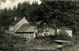 Belgique - Namur - Felenne - Le Vieux Moulin - Sonstige & Ohne Zuordnung