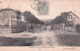 SAINT LEU LA FORÊT-avenue Des Tilleuls - Saint Leu La Foret