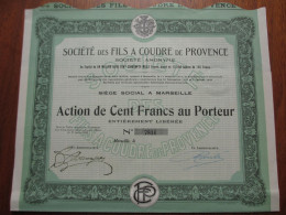 FRANCE - 13 - MARSEILLE 1920 - STE DES FILS A COUDRE DE PROVENCE - ACTION DE 100 FRS - Autres & Non Classés