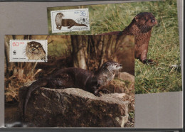 WWF Issue Michel Cat.No. DDR MC - Cartes-maximum