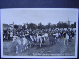 Nederland Leeuwen Pony Club  Volk Paarden Molen - Roermond