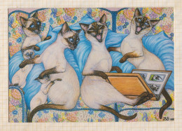 24E53 CHATS CHAT CAT  CP DOUBLE 19X13.5 THE FAMILY ALBUM BY ZOE STOKES - Katzen