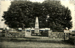 Belgique - Namur - Felenne - Le Monument - Sonstige & Ohne Zuordnung