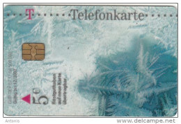 GERMANY(chip) - T Telecom Transparent Telecard(TK P 07), 11/04, Used - Vissen