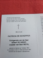 Doodsprentje Patricia De Schepper / Hamme 1/10/1962 Gent 25/6/1993 ( Gilbert De Greef ) ( Moeder Van Bart Weyn ) - Religion &  Esoterik