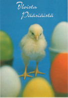 PÂQUES POULET ŒUF Vintage Carte Postale CPSM #PBP070.A - Ostern