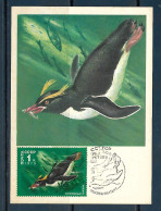 CCCP - 1979 - Marine Life - Maximum Card - Vie Marine