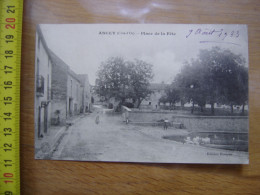 Carte Postale 21 COTE D'OR Ancey PLACE DE LA FETE Femme Enfant Animaux - Other & Unclassified