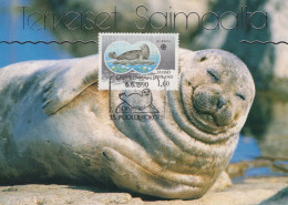 SEAL Animals Vintage Postcard CPSM #PBS640.A - Andere & Zonder Classificatie