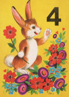 RABBIT Animals Vintage Postcard CPSM #PBR094.A - Andere & Zonder Classificatie