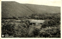 Belgique - Namur - Felenne - Moulin D'Olenne - Autres & Non Classés