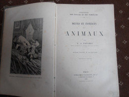 Livre  Ancien Daté 1891  :   MOEURS Et INSTINCTS  Des  ANIMAUX  Par F.A.POUCHET - 1801-1900