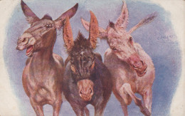 BURRO Animales Vintage Antiguo CPA Tarjeta Postal #PAA132.A - Donkeys