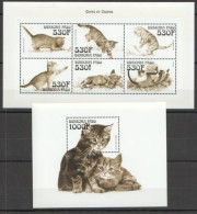 Burkina Faso - 1999 - Cats - Yv  1177/82 + Bf 85 - Hauskatzen