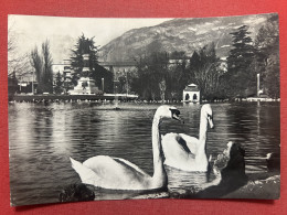 Cartolina - Trento - Il Lago Dei Cigni Col Monumento A Dante - 1956 - Trento