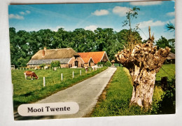 Mooi Twente - Other & Unclassified