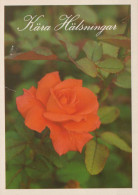 FLOWERS Vintage Postcard CPSM #PAS240.GB - Fleurs