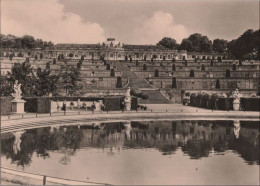 77984 - Potsdam, Sanssouci - Schloss Mit Terrassen - 1959 - Potsdam