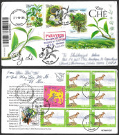 VIETNAM 2024 Tea Tree,Drink,Flower,Medicine,Cup,Food,Bird, Registered FDC Cover To India (**) Inde Indien - Vietnam