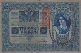 10000 KRONEN 1902 Österreich Papiergeld Banknote #PL320 - [11] Lokale Uitgaven