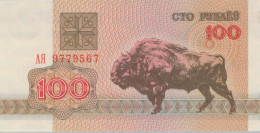 100 RUBLES 1992 BELARUS Papiergeld Banknote #PJ283 - [11] Local Banknote Issues