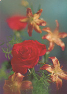 FLEURS Vintage Carte Postale CPSM #PAS117.FR - Flowers